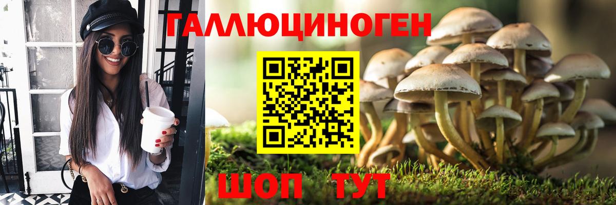 Петропавловск-Камчатский  Псилоцибиновые грибы ЛСД  Вход с VPN 
